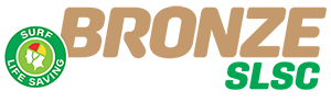 bronze logo small